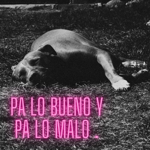 Pa lo bueno y pa lo malo cover art