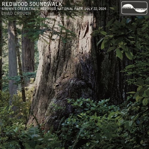 Part 8, Carl Schenck Grove cover art