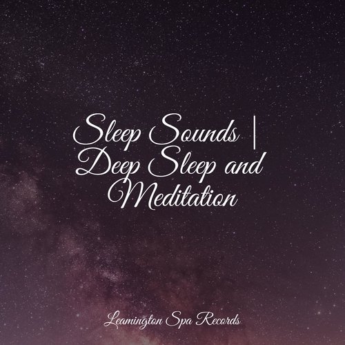 Sleep Sounds | Deep Sleep and Meditation