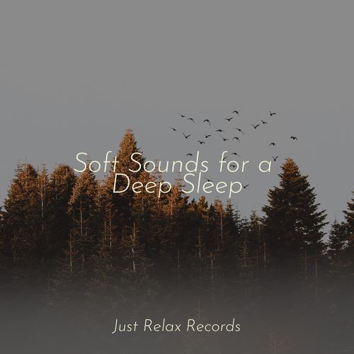 Soft Sounds for a Deep Sleep