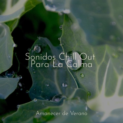 Sonidos Chill Out Para La Calma