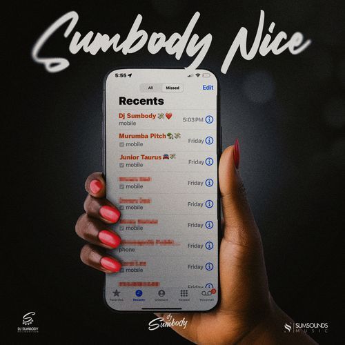 Sumbody Nice (feat. Murumba Pitch & Junior Taurus)_poster_image