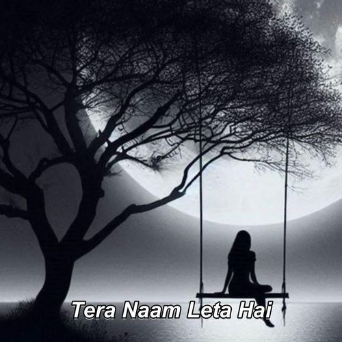 Tera Naam Leta Hai