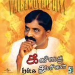 Adi Kaadhal (From "Doubles") artwork
