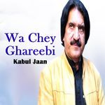 Wa Chey Ghareebi