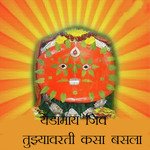 Yedamai Jiv Tuzhyavarti Kasa Basla