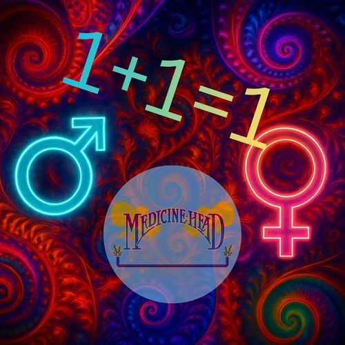 1+1=1