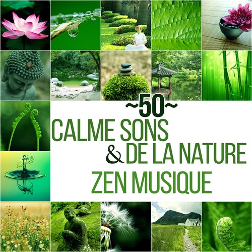 Zen anti stress cover art
