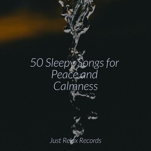 50 Sleepy Songs for Peace and Calmness_poster_image