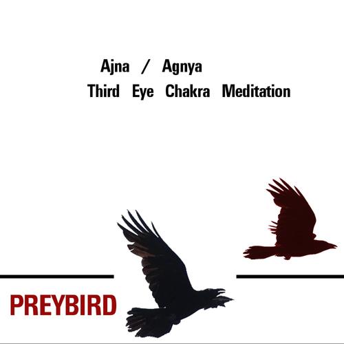 Ajna / Agnya: Third Eye Chakra Meditation