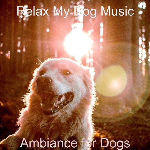 Ambiance for Dogs