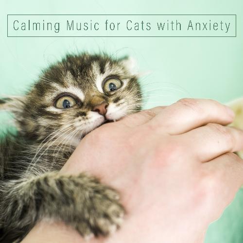 Sound Therapy for Cats cover art