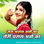 Garu Charay Aabe Ka Chheri Charay Aabe Ka