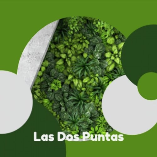 Las Dos Puntas