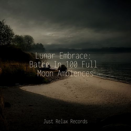 Lunar Embrace: Bathe In 100 Full Moon Ambiences