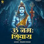 Om Namah Shivay