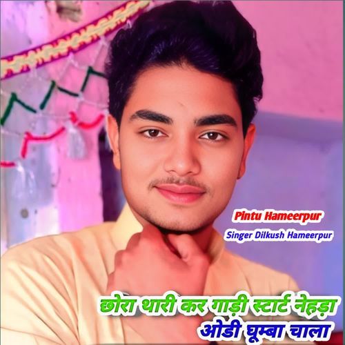 छोरा थारी कर गाड़ी स्टार्ट नेहड़ा ओडी घूम्बा चाला