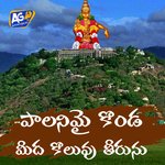 Palanimalai Konda Meeda