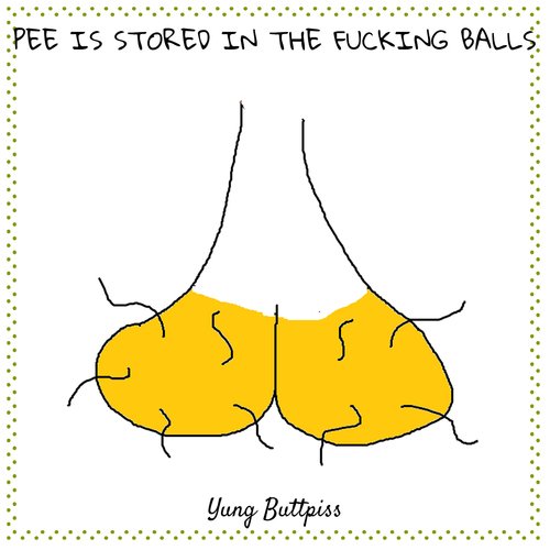 Pee Is Stored in the Fucking Balls