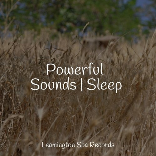 Powerful Sounds | Sleep