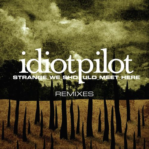 Remixes From &quot;Strange We Should Meet Here&quot; (DMD Maxi)_poster_image