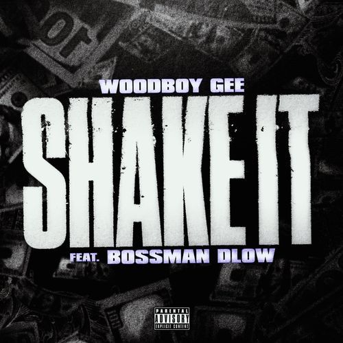 Shake It (feat. BossMan Dlow) cover art