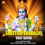 Shattila Ekadashi (Vrat Katha) artwork