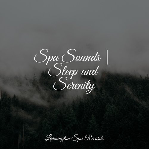 Spa Sounds | Sleep and Serenity_poster_image