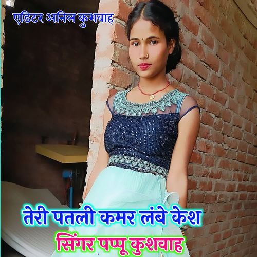 Teri Patali Kamar Lambe Kesh