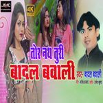 Tor Nath Turi Badal Bawali (Studio) artwork