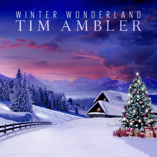 Winter Wonderland_poster_image