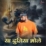 Ya Duniya Bhole