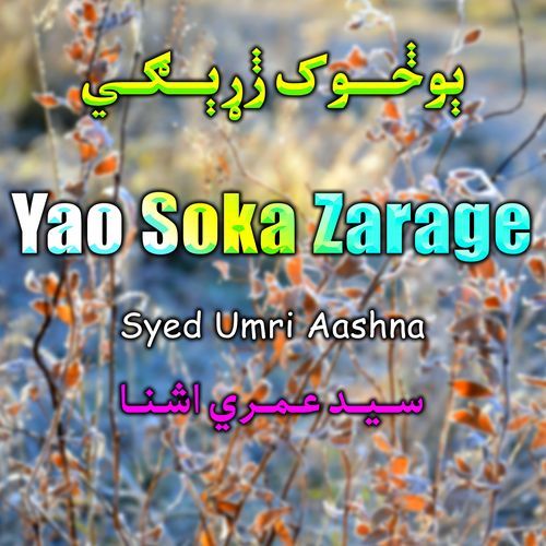 Yao Soka Zarage