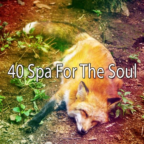 40 Spa for the Soul