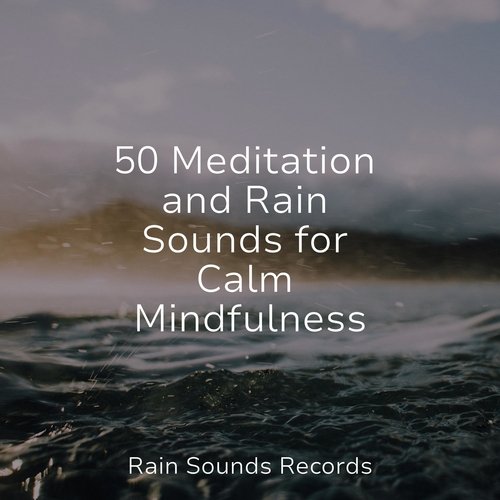 50 Meditation and Rain Sounds for Calm Mindfulness