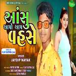 Aansu Aapo Aap Vahase