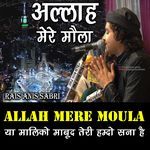 Allah Mere Moula Anis Sabri artwork