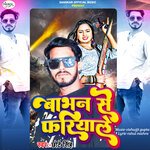 Babhan Se Fariyale artwork