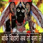 Banke Bihari Ab To Bula Le