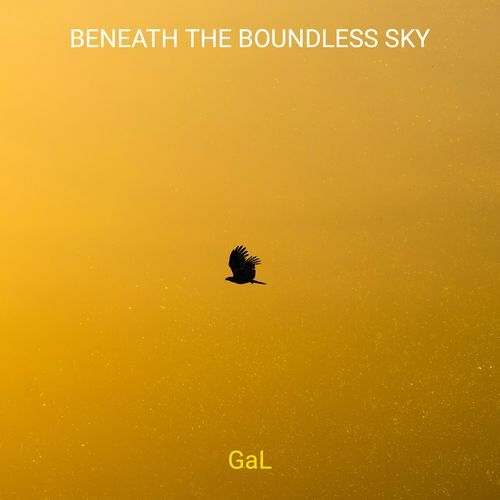 Beneath the Boundless Sky_poster_image