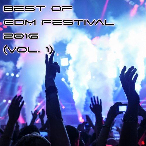 Best of EDM Festival 2016, Vol. 1