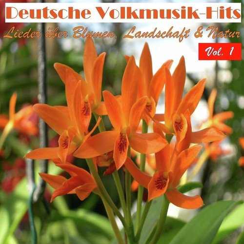 Deutsche Volksmusik Hits - Lieder über Blumen, Landschaft & Natur, Vol. 1