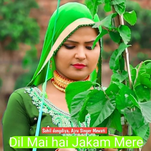 Dil Mai Jakam Mere