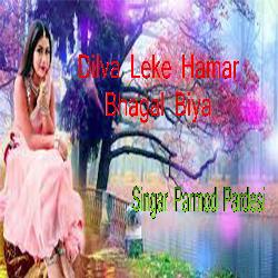 Dilva Leke Hamar Bhagal Biya-BCwbSCJZTQs