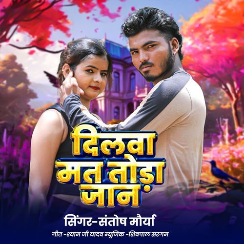 Dilwa Mat Toda Jaan