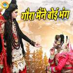 Gaura Maine Boyi Bhang