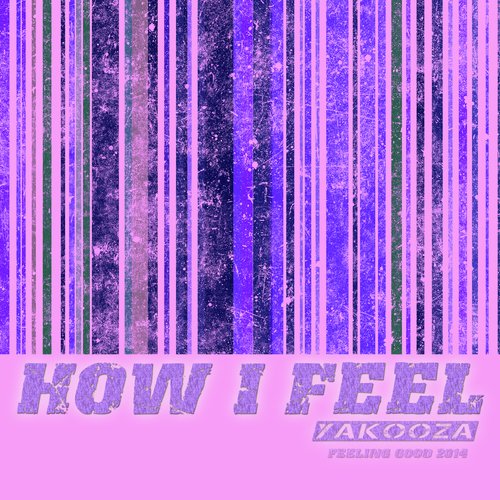 How I Feel (Karaoke Playback Originally Performed By Flo Rida & Nina Simone)