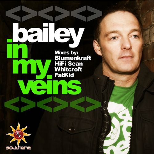 In My Veins (Fatkid Remix) cover art