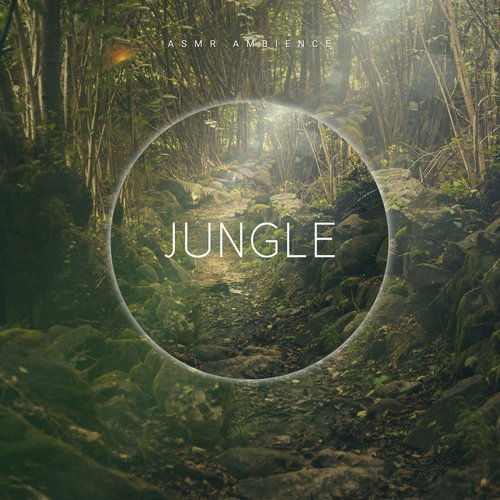 Jungle Sounds ASMR cover art