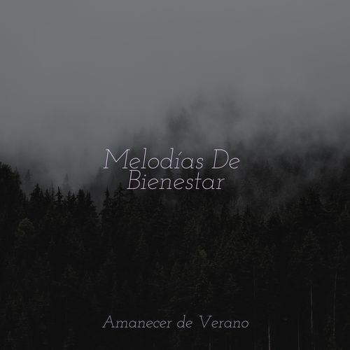 El Boogie del Salón de la Colmena cover art